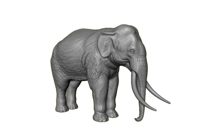 elephant high poly 3D Print Model .c4d .max .obj .3ds .fbx .stl .blend 