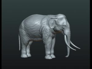 elephant high poly 3D-printmodel