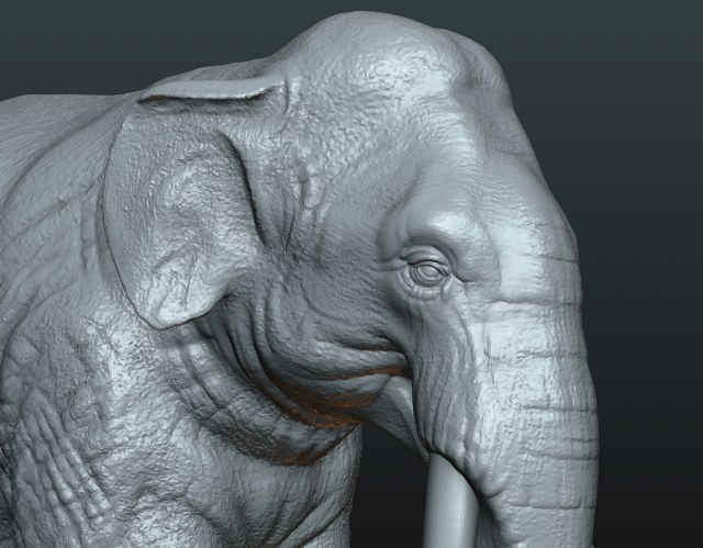 Download elephant high poly 3D Model
