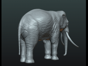 elephant high poly 3D-printmodel