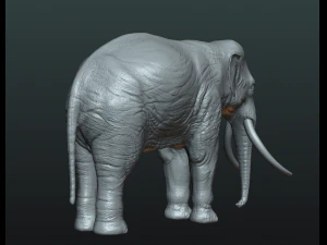 elephant high poly 3D Print Model