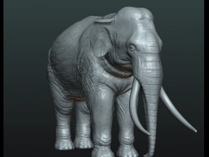 elephant high poly 3D Print Model
