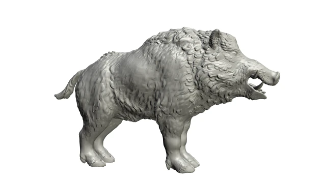 boar 3D Print Model .c4d .max .obj .3ds .fbx .stl .blend 