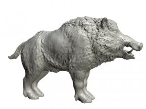 boar 3D Print Model