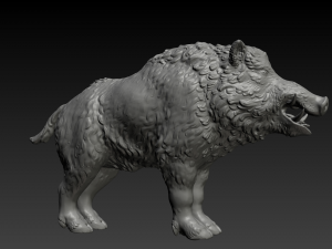 boar 3D Print Model