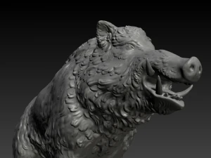 boar 3D Print Model