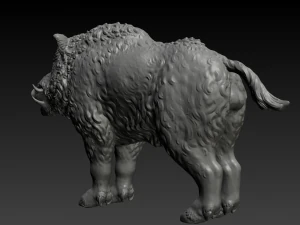 boar 3D Print Model