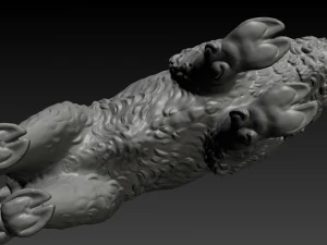 boar 3D Print Model