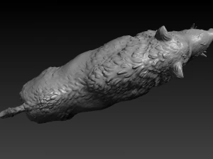 boar 3D Print Model