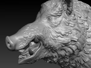 boar 3D Print Model