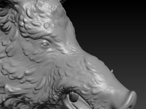 boar 3D Print Model