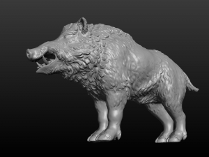 boar 3D Print Model