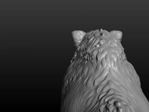 boar 3D Print Model