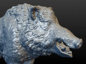 boar 3D Print Model