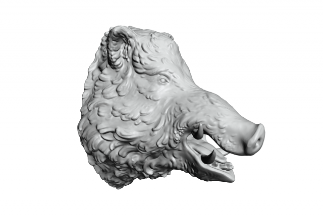 boars head 2 3D Print Model .c4d .max .obj .3ds .fbx .stl .blend 
