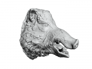 boars head 2 3D Print Model