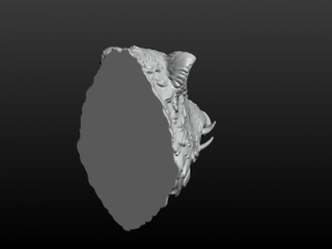 boars head 2 3D Print Model