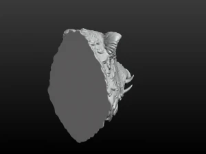 boars head 2 3D Print Model