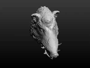 boars head 2 3D Print Model