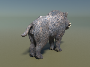 boar low poly 3D-Modell