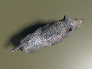 boar low poly 3D-Modell