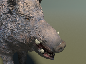 boar low poly 3D-Modell