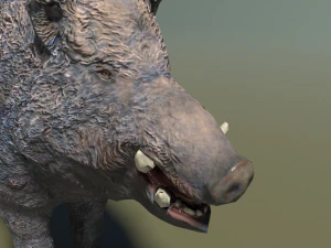 boar low poly 3D Model