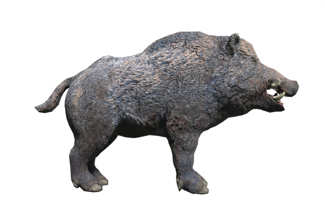 boar low poly 3D-Modell .c4d .max .obj .3ds .fbx .stl .blend 