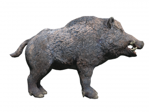 boar low poly 3D मॉडल