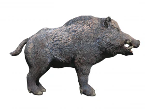 yaban domuzu düşük poli 3D Model