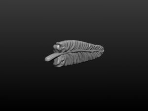 feather 3 3D Print Model