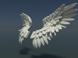 wings 3D Print Model