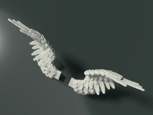 wings 3D Print Model