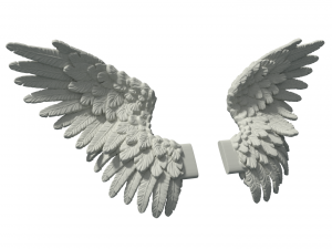 wings 3D Baskı Modeli