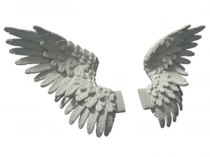 wings 3D Print Model