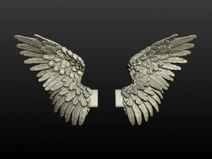 wings 3D Baskı Modeli