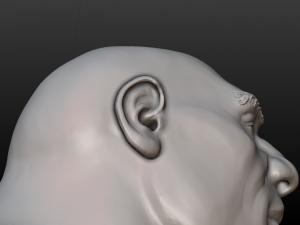 neanderthal bust Model Cetak 3D