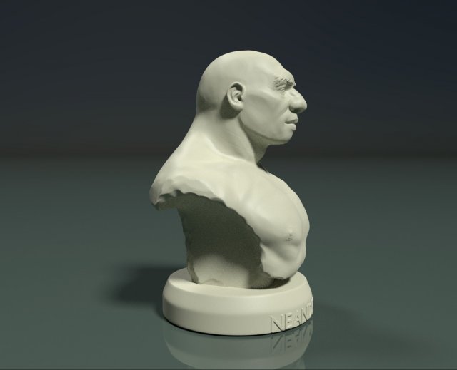 neanderthal bust Model Cetak 3D .c4d .max .obj .3ds .fbx .stl .blend 