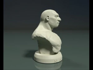 buste de N&eacute;andertal Modèles 3D en vedette
