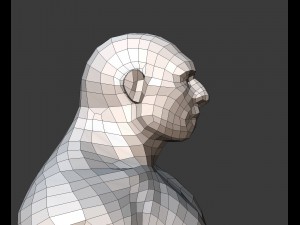 neanderthal bust low poly Model 3D