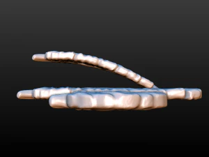 feathers 3D Print Model