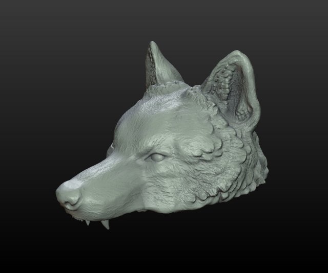 wolf cap Model Cetak 3D .c4d .max .obj .3ds .fbx .stl .blend 