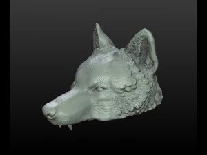 bon&eacute; de lobo Modelo de Impressão 3D