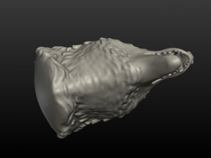 wolf head ii Modelo de Impressão 3D
