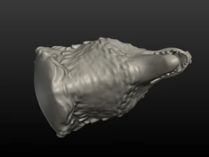wolf head ii 3D Print Model