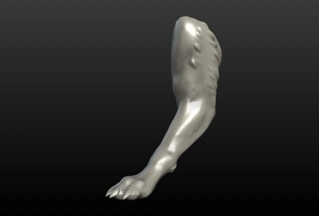 pata de lobo Modelo de Impressão 3D .c4d .max .obj .3ds .fbx .stl .blend 
