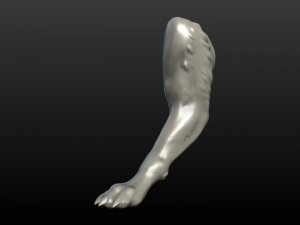 wolf paw 3D Print Model