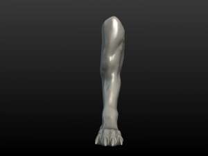 wolf paw Model Cetak 3D