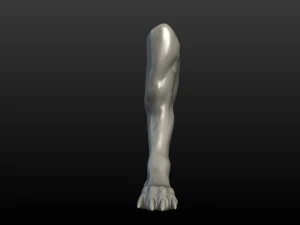 pata de lobo Modelo de Impressão 3D
