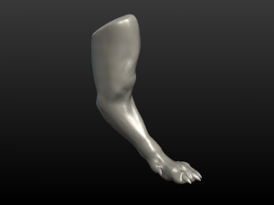 wolf paw Model Cetak 3D